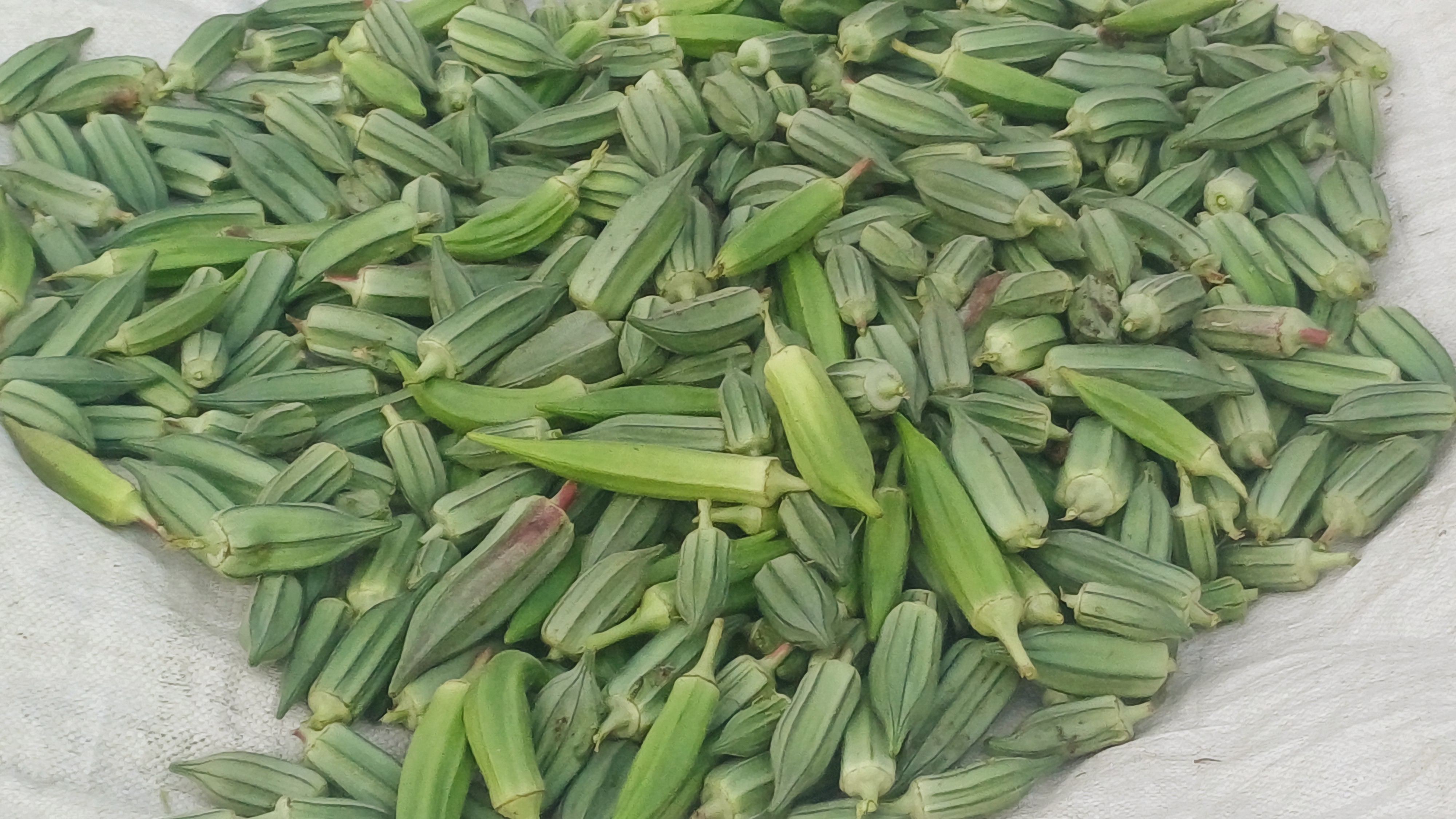 Sustainable farming