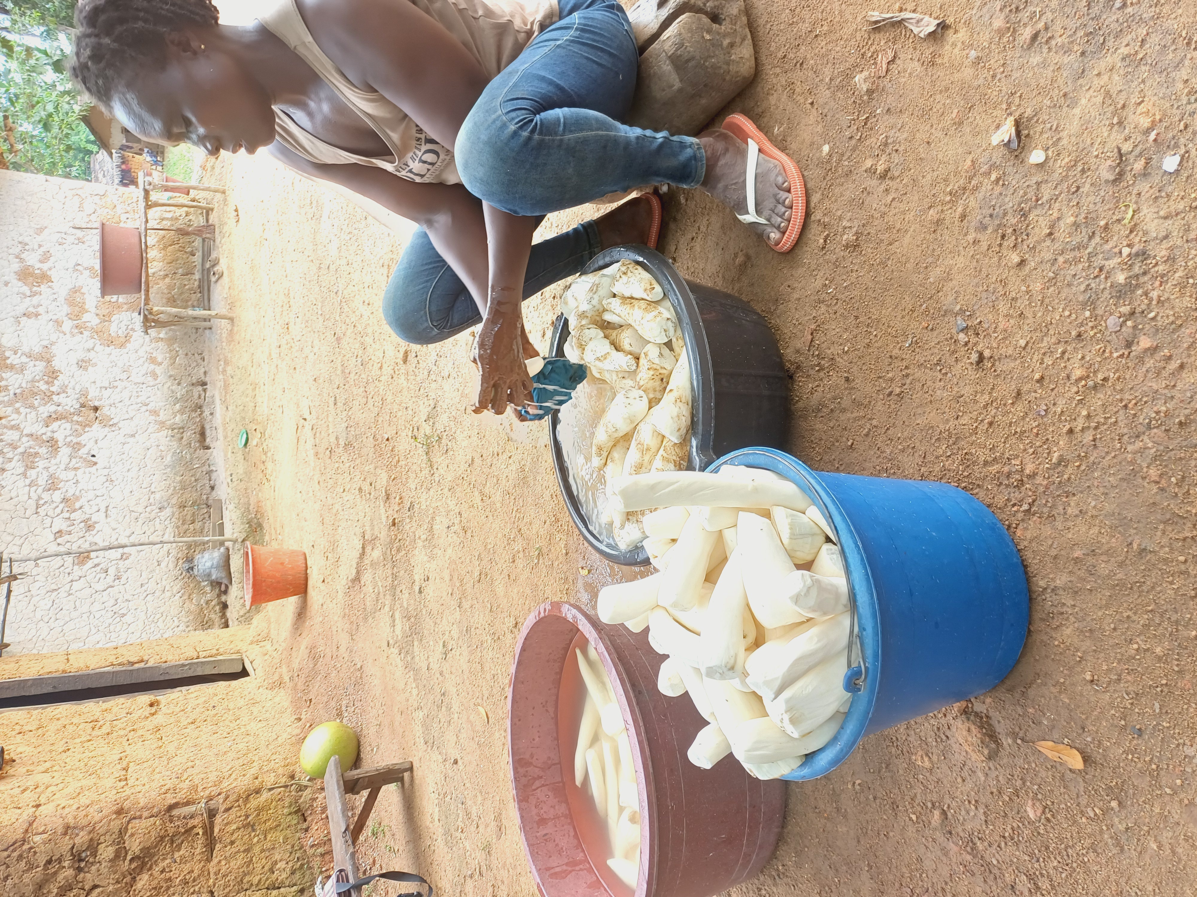 Organic vegetable farming